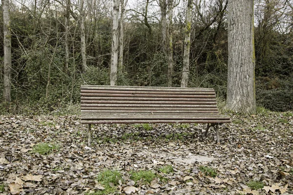 Street wood benches