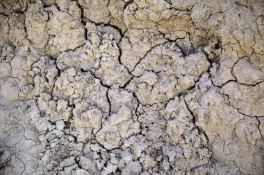 Kuru ve kırık alan