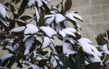 Karlı kış tesisleri