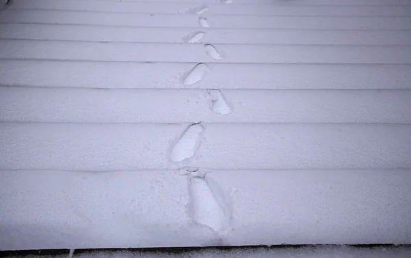 Winter sneeuw trappen — Stockfoto