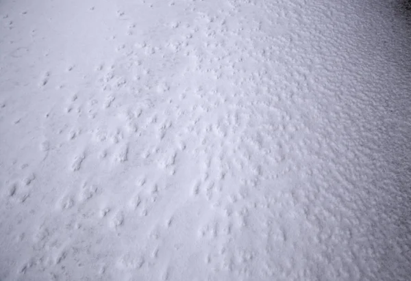 Ghiaccio coperto di neve — Foto Stock