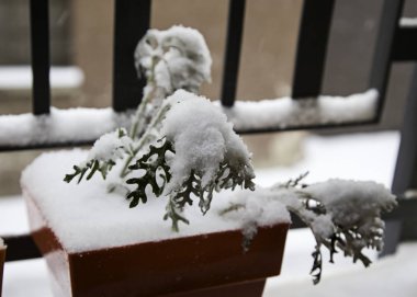 Karlı kış tesisleri