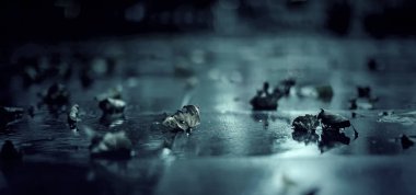 Düşmüş yaprakları sokak