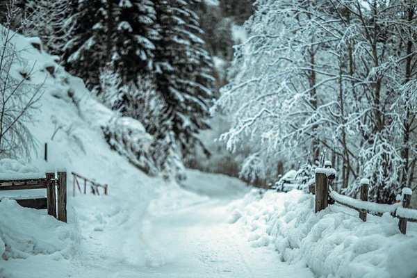 雪に覆われたフィールド風景 — ストック写真