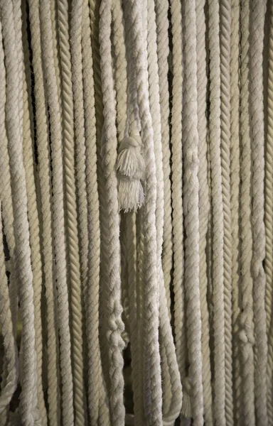 Knotted ropes hanging — Stock Photo, Image