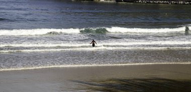 Kıdemli adam banyo plaj