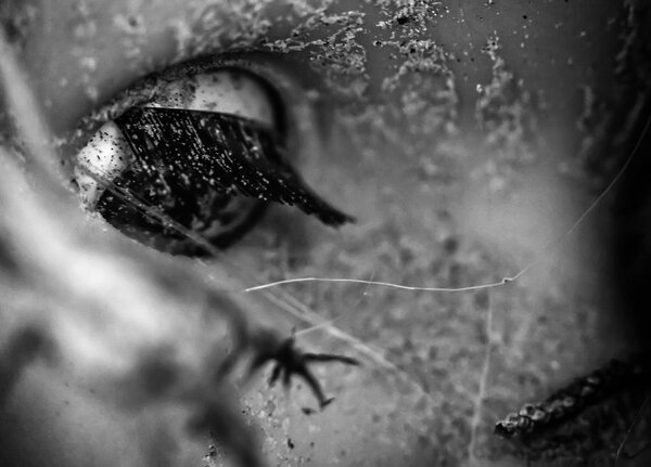 Грязная кукла сломана
