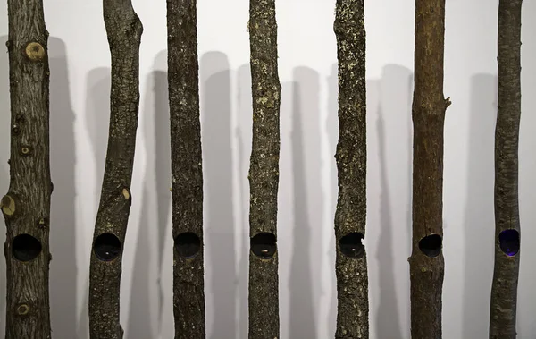 Дорожні скрині зрубане дерево — стокове фото