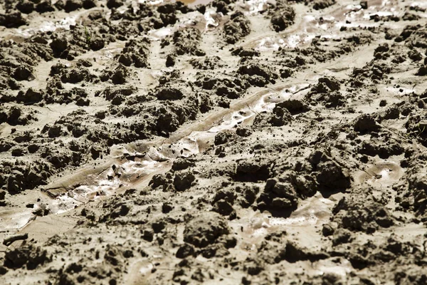 Wet floor mud — Stock Photo, Image