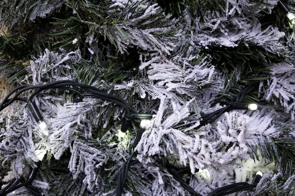 Nieve de árbol de piñas de Navidad — Foto de Stock