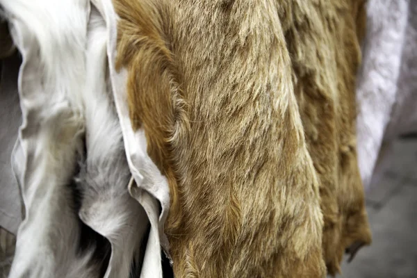 Animal skins fur — Stock Photo, Image