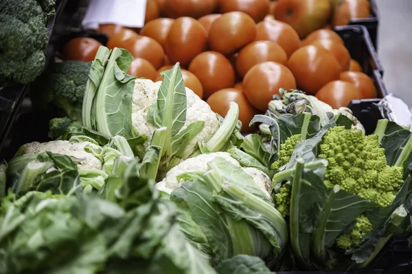 Greengrocer lettuce — Stock Photo, Image