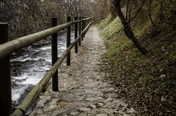 Őszi folyó táj — Stock Fotó