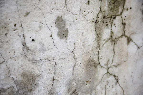 Plaster wall — Stock Photo, Image