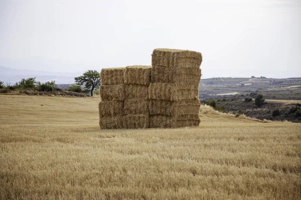 Straw bale — Stock Photo, Image