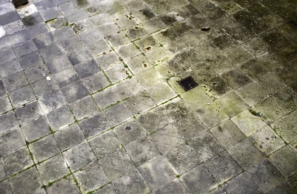 Wet floor tiles — Stock Photo, Image