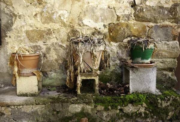 Panelas com plantas mortas — Fotografia de Stock