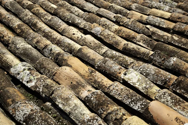 Slate Tile telepítése