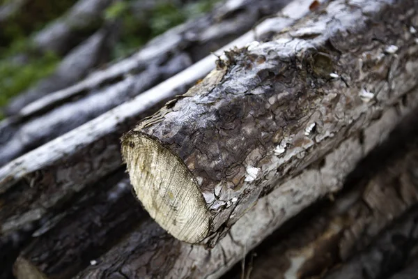 Gestapelde houten logboeken — Stockfoto