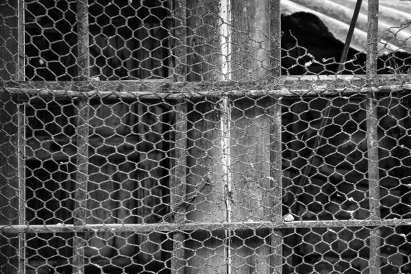 Plasă de gard metalic — Fotografie, imagine de stoc