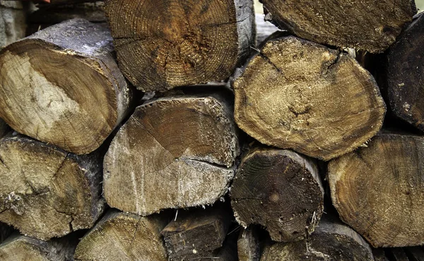 Troncos Madera Apilados Para Leña Naturaleza Reciclaje —  Fotos de Stock