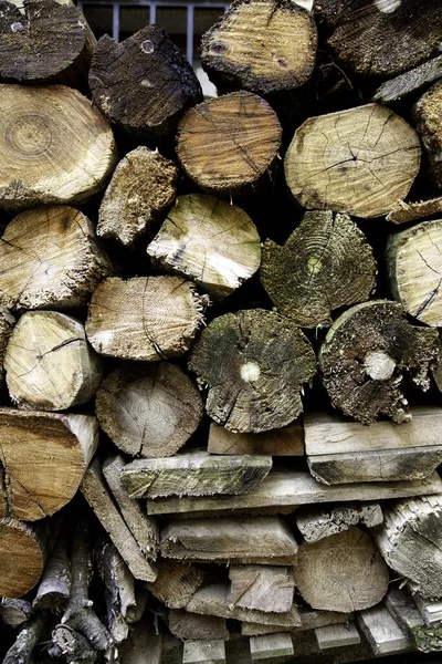 Stacked Wood Logs Firewood Nature Recycling — Stock Photo, Image