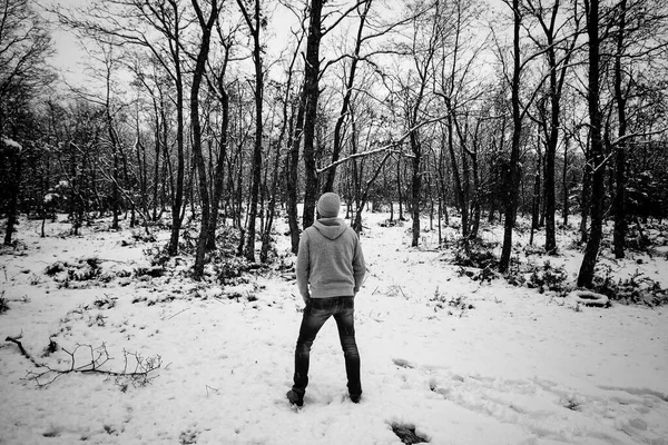 Doğal Parkın Karındaki Adam Mevsim Invierne — Stok fotoğraf