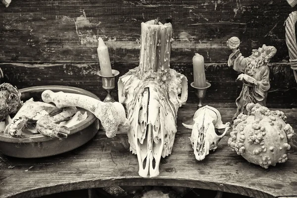巫术药水和食品市场 — 图库照片