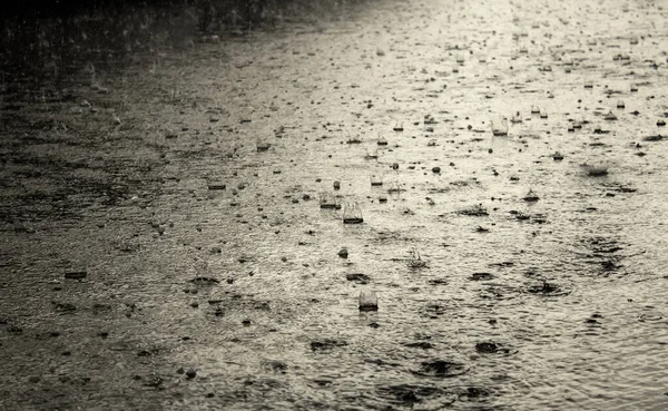 Pluie Dans Rue Avec Gouttes Eau Nature Paysage — Photo