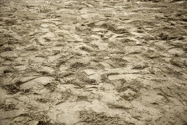 Pegadas Terra Areia Esporte Símbolo Caminhadas — Fotografia de Stock