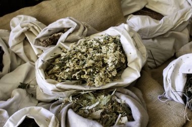 Bitkiler, şifalı bitkiler ve şifalı bitkiler.