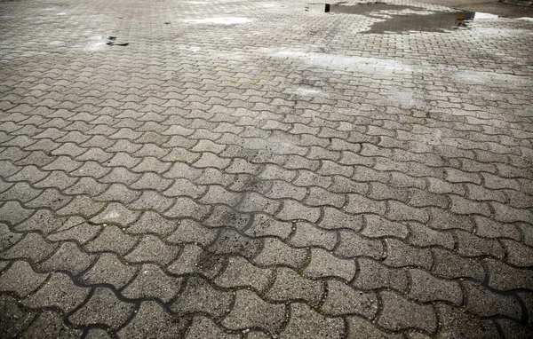 Piso Paralelepípedos Molhados Detalhe Pavimento Pedestre — Fotografia de Stock