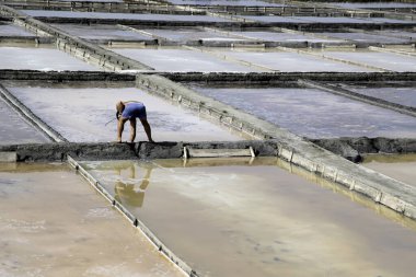 Aveiro 'daki tuz madenleri, tuz çıkarma ayrıntıları, Avrupa' daki turizm