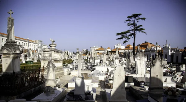 Ancien Cimetière Lisbon Détail Mort Douleur — Photo