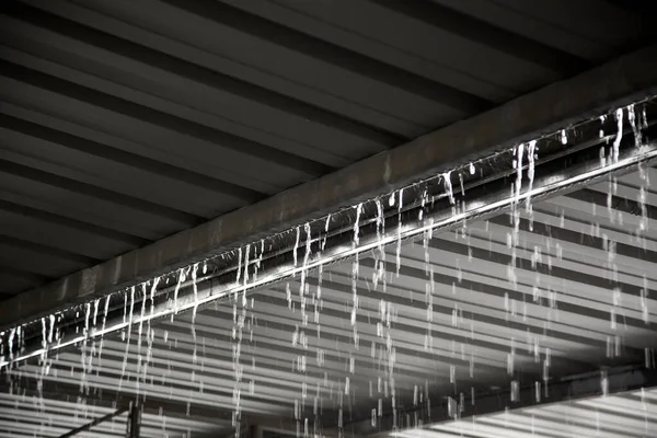 Kraftfullt Regn Med Hagel Tillfällig Klimatförändring Natur Stockbild