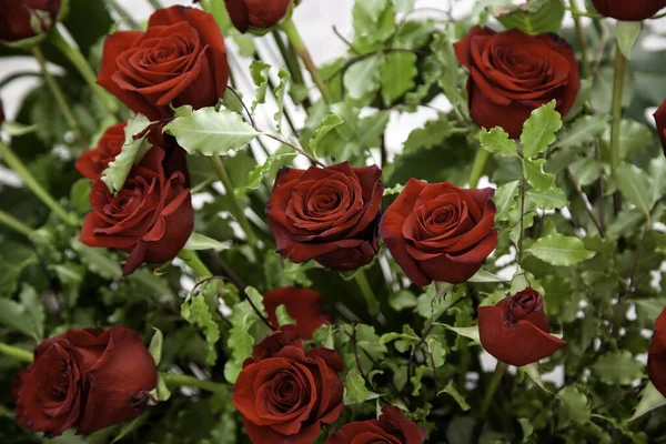 Frisse Geurige Rozen Detail Van Romantiek Liefde — Stockfoto