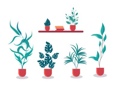 Beyaz arkaplandaki çömleklerdeki kapalı alan bitkilerinin kümesi