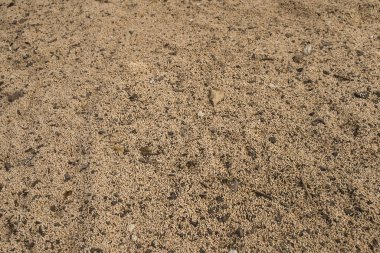 Union Carbide Kimya Fabrikası, Bhopal, Hindistan