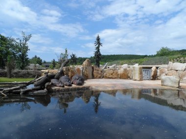 Üç suaygırları havuzun yalan