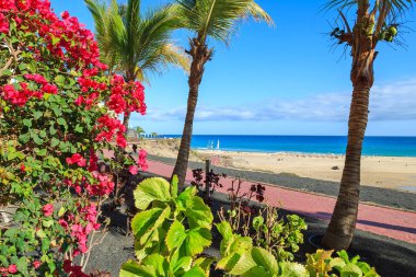 Morro Jable kentindeki Fuerteventura, Canary Islands, İspanya için kumlu plaj sahil mesire