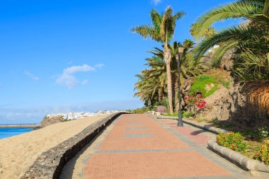 Geçit ve tropik bitkiler Morro Jable üzerinde Jandia Yarımadası, Fuerteventura, Kanarya Adaları, İspanya plaj boyunca mesire