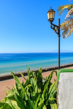 Okyanus görünümü ve tropik bitkiler üzerinde Morro Jable sahilde Jandia Yarımadası, Fuerteventura, Kanarya Adaları, İspanya