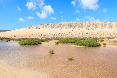 Su birikintisi kumul Sotavento plaj üzerinde Jandia Yarımadası, Fuerteventura, Kanarya Adaları, İspanya
