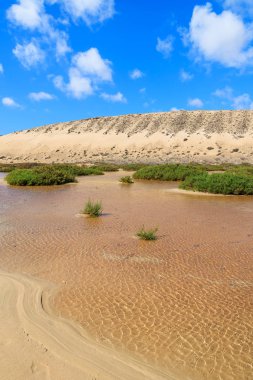 Su birikintisi kumul Sotavento plaj üzerinde Jandia Yarımadası, Fuerteventura, Kanarya Adaları, İspanya