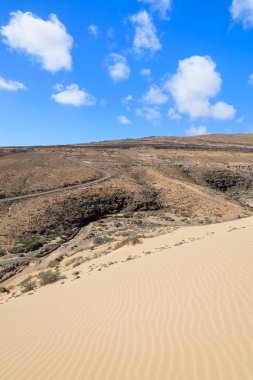 Çöl manzarası ve kumul Sotavento plaj üzerinde Jandia Yarımadası, Fuerteventura, Kanarya Adaları, İspanya