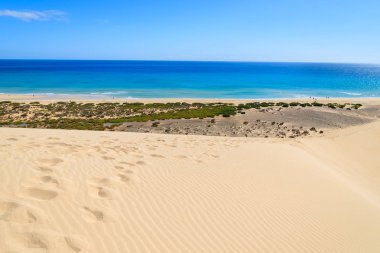 Jandia Yarımadası, Fuerteventura, Kanarya Adaları, İspanya üzerinde Sotavento sahilde kum kabuklarıyla ayak izleri