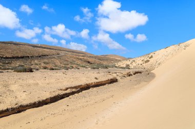 Kumul sotavento plaj üzerinde jandia Yarımadası, fuerteventura, Kanarya Adaları, İspanya