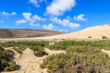Kumul sotavento plaj üzerinde jandia Yarımadası, fuerteventura, Kanarya Adaları, İspanya