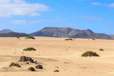 Kum tepeleri Corralejo Milli Parkı, Fuerteventura, Kanarya Adaları, İspanya çöl manzara içinde volkanik dağlar