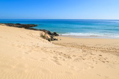 Kum tepeleri ve okyanus Corralejo Milli Parkı, Fuerteventura, Kanarya Adaları, İspanya